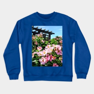 Pink Roses Near Trellis Crewneck Sweatshirt